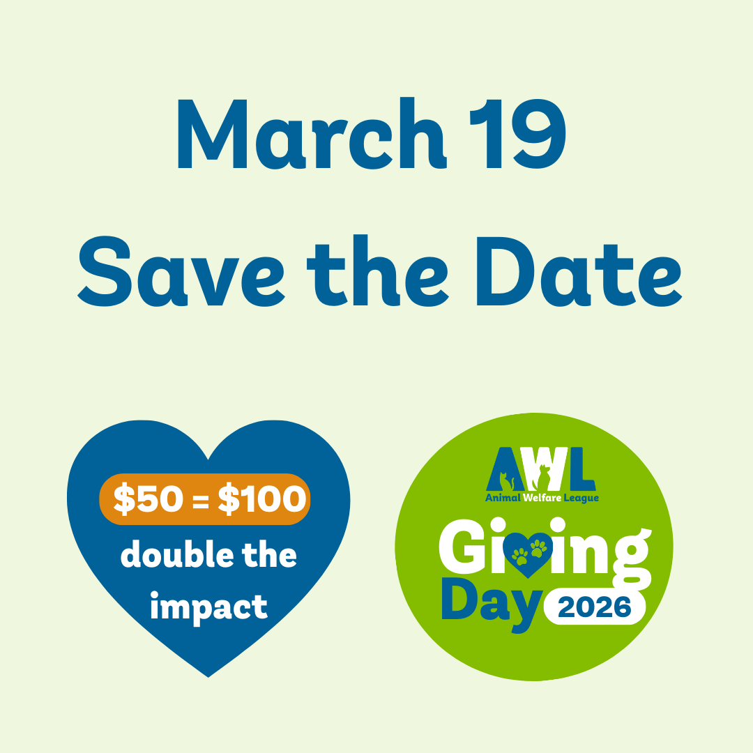 Website Pop Up Tile STD