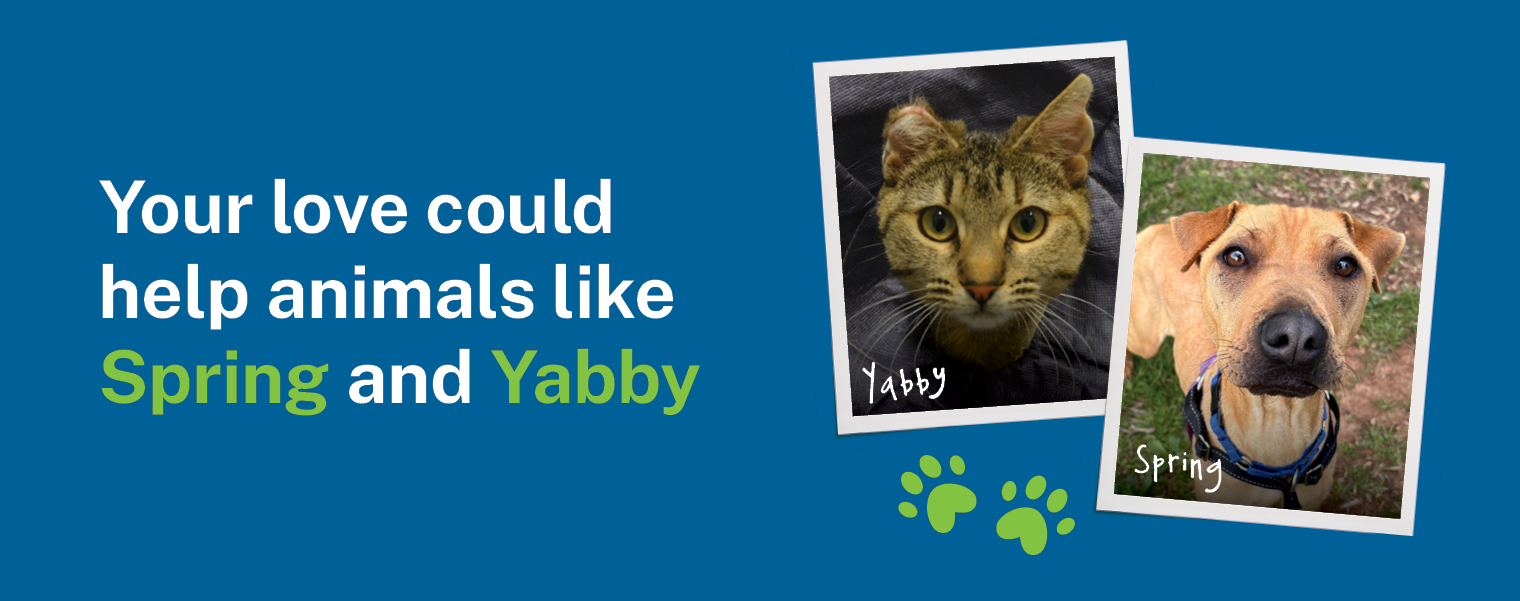 AWL TAX Appeal 26 1520x601 V1 No Button