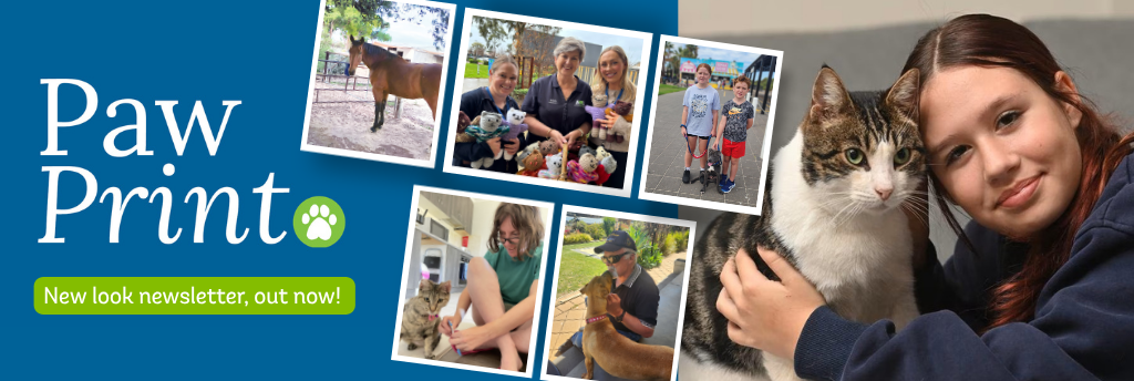 Happy Paws August 2026