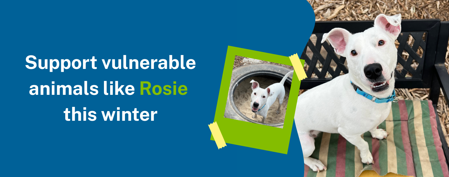Rosie