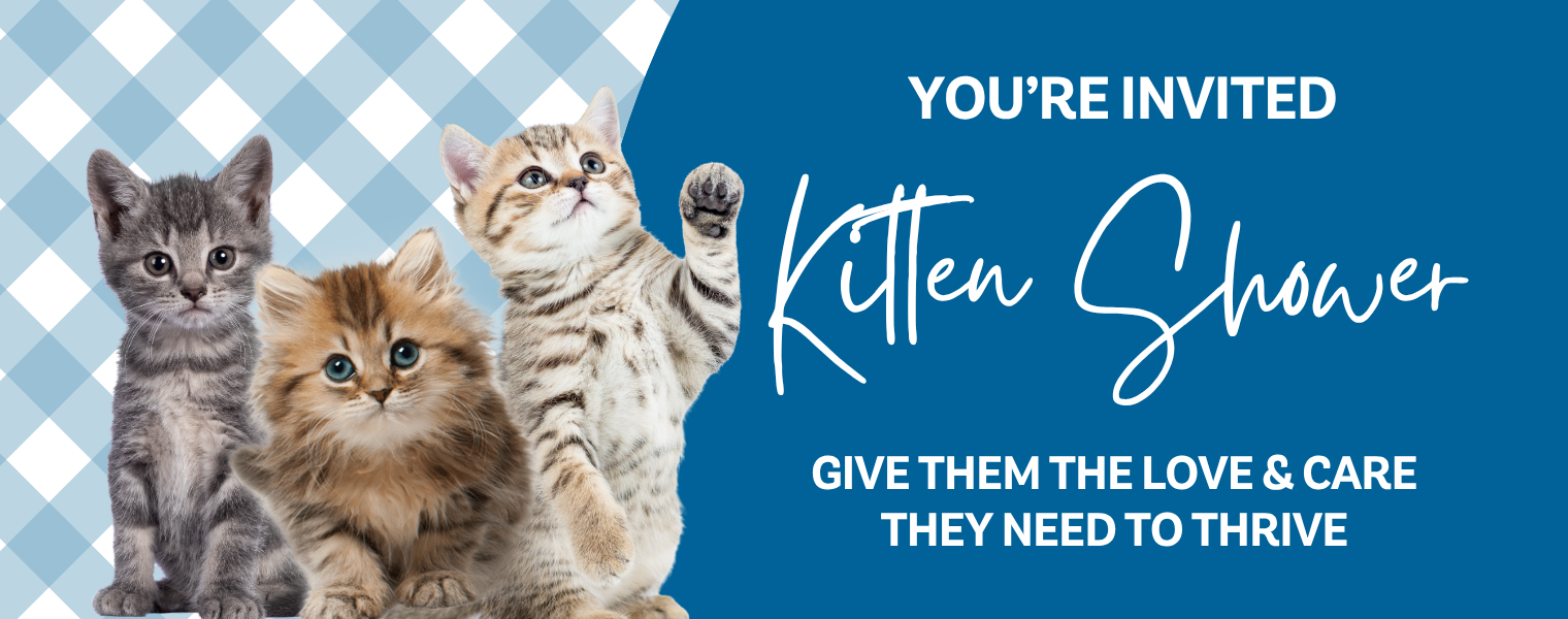 Web banner - AWL Kitten Shower 2025
