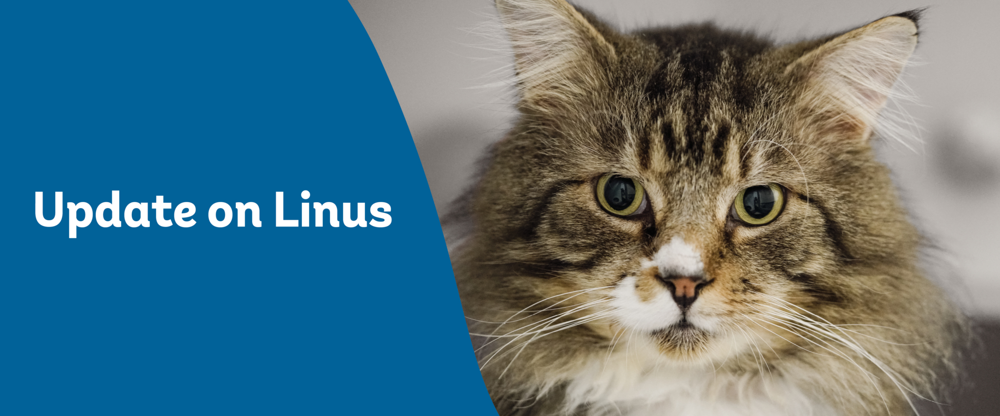 Web banner update on linus