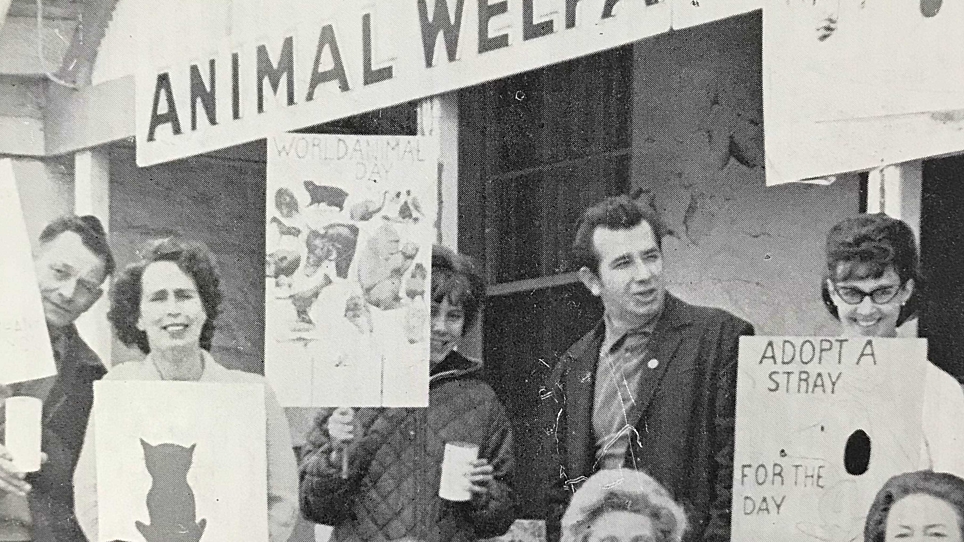 AWL's history | AWL | Animal Welfare League